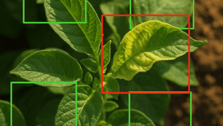 Pushing Boundaries with AI: How Croptimal is Redefining Disease Detection